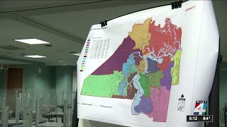 Jacksonville’s growing population could change who on City Council represents you