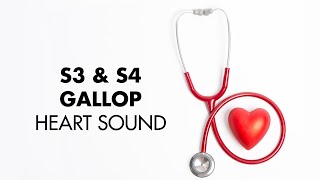 S3 and S4 Gallop  Heart Sounds  MEDZCOOL