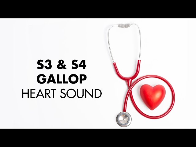 S3 and S4 Gallop - Heart Sounds - MEDZCOOL class=