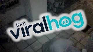 Package Thief Returns Special Gift || ViralHog