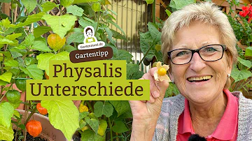 Kann man Physalis mit Schale essen?