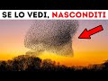 Se Osservi Questo Fenomeno in Cielo, Cerca Riparo