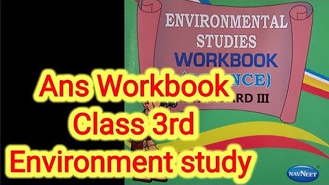 Workbook EVs environment Study class III