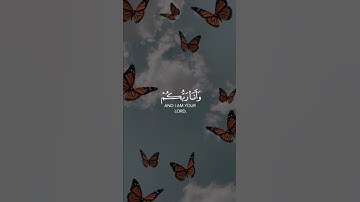 تلاوة تطهر القلب🌿 حالات واتس🌿 من سورة الانبياء