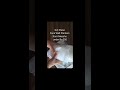 Face Planter # #Meesho #homedecor#plants#planter #shortvideo #meeshofinds #meeshohaul#ytshorts#home