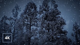 Blizzard Sounds for Sleeping. Snowstorm Sounds for Insomnia. Wind Sounds to Block Noise. White Noise
