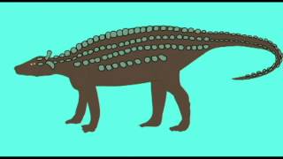PL EXAM 2: TRANSITIONAL FOSSILS OF ARMORED DINOSAURS.avi