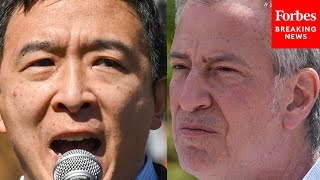 Viral Moment: Andrew Yang Unleashes On De Blasio At Campaign Event