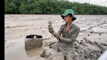 Bắt Tôm Tít Cùng Em Trai Gia Đình Cần Giờ tv /Thành Quả Bội Thu