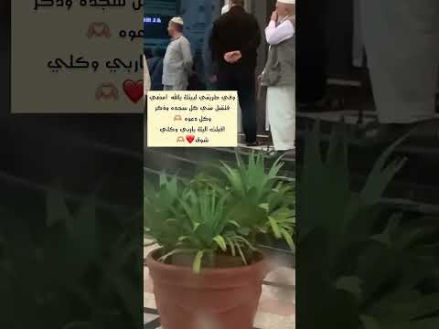 لديار الله امضي نطلق الرحلى  اناشيد اسلاميه حالات واتساب دينيه