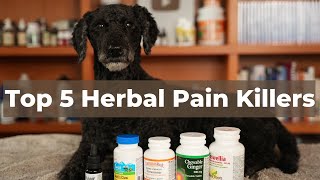 Top 5 Herbal Painkillers for Dogs