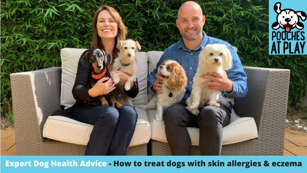 How Do I Keep My Dogs Skin Healthy