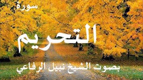 سورة التحريم بصوت الشيخ / نبيل الرفاعي 66