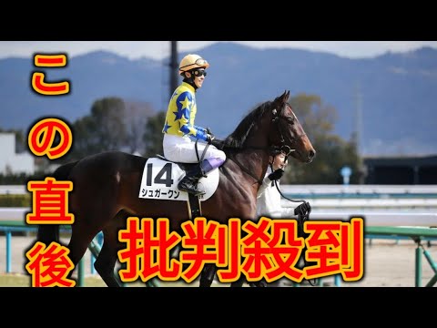 キタサンブラックの半弟シュガークンが初勝利！　武豊騎手「かなり能力がありそう」／阪神５Ｒ