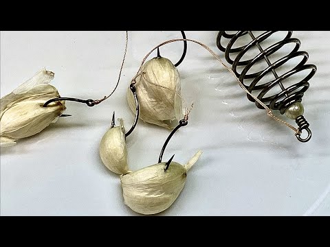 Video: Crayfish Bait - Fish Or Garlic?