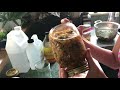 Part 1:  How To Make Infused Oil With Fresh Or Dried Herbs/Overview Of Tinctures, Oils And Infusions