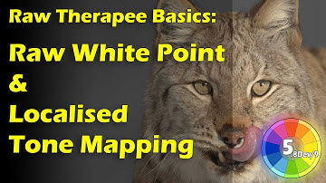 Raw Therapee Basics: Raw White Point, and Local Adjustment Spot Tone Mapping.