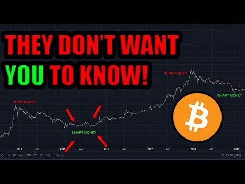 PROOF: They Are Lying To You About Bitcoin! Peter Schiff Might Own Bitcoin. Wall Street Buying.