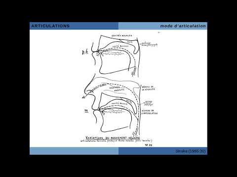 Vidéo: Qu'est-ce qu'antérieur en phonologie ?