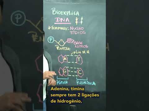 Vídeo: Em nucleotídeos a base nitrogenada e a pentose são conectadas por?