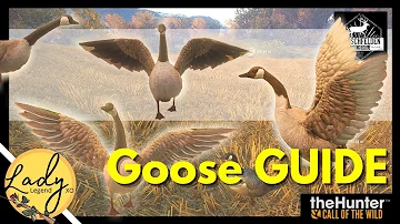 Let’s Hunt GEESE!  Canadian Goose Guide - Hunter: Call of the Wild