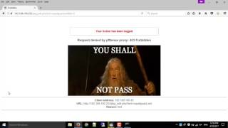 pfsense deny all websites but one