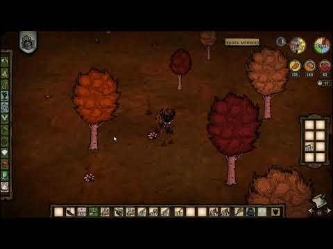 Топ 5 типов игроков в Don't Starve Together