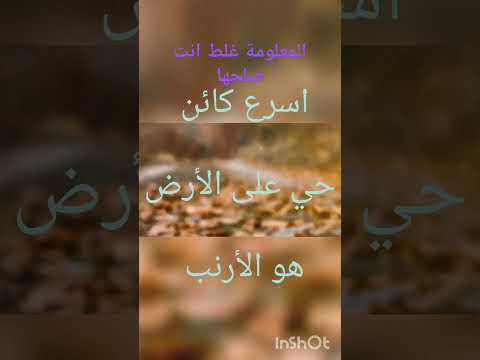 معلومة غلط انت صلحها Malomafeketab معلومات