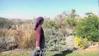 הזוי להיות גיבור The absurdity of bravery