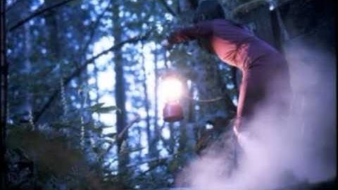 Tiny Vipers - Swastika