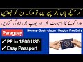 How to Get Easy Second Passport - Permanent Residency in Paraguay - Easy to Apply - Hindi / Urdu