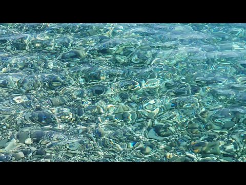 Абхазия. Пицунда. Отдых в сентябре 2023