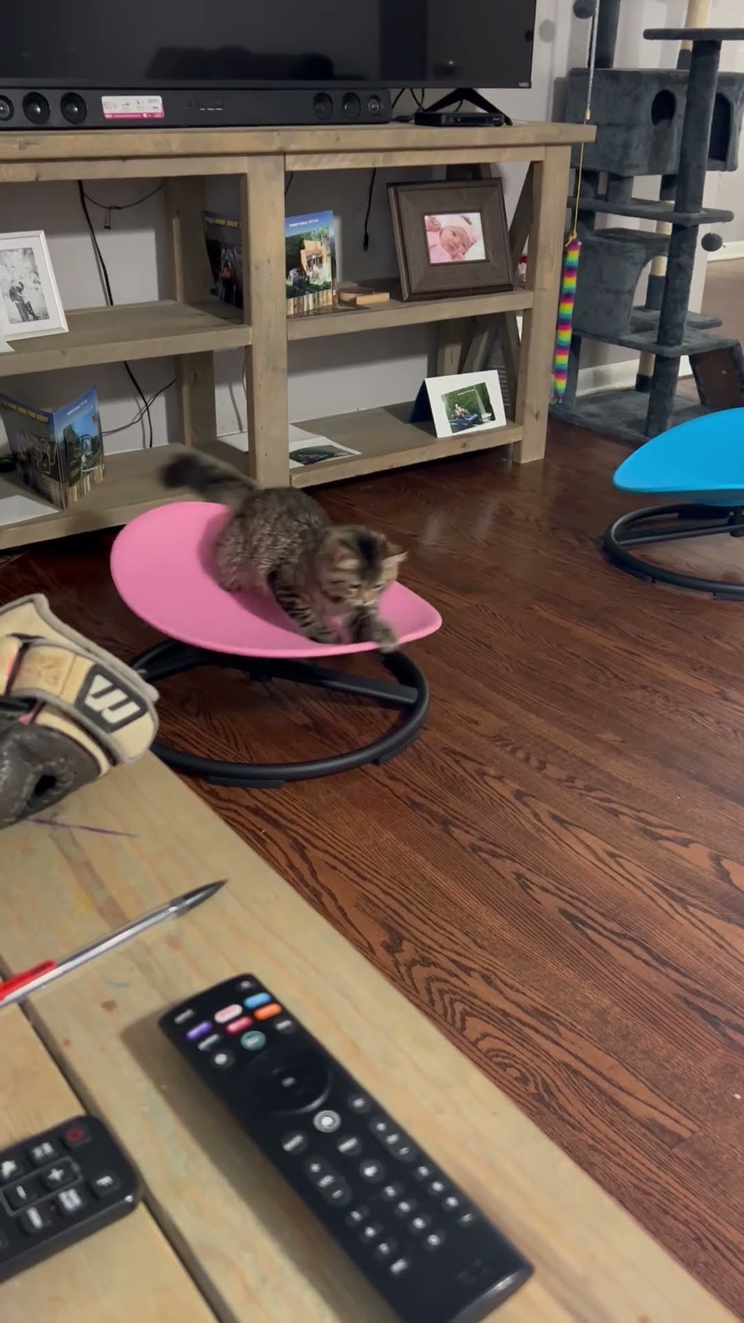 Cat Spins On Sensory Swivel Chair || ViralHog