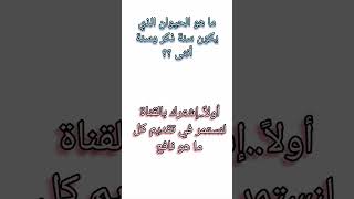 ما هو الحيوان ااذي يكون سنة ذكر وسنة أنثى؟