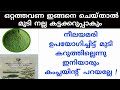 ഒറ്റ ദിവസത്തിൽ മുടി കറുപ്പിക്കാൻ നീലമരിക്കൊപ്പം ഒരു നുള്ള് ചേർക്കൂ