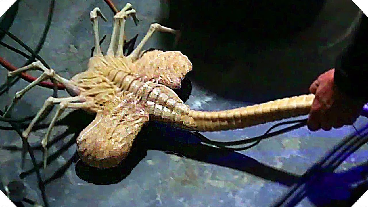 Government & Demonic Entities: Declassified Secrets & Rituals