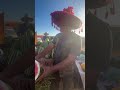 الشوى غر وا عبد خويا مهمد بابا Humor كوميديات Comedy Funny كوميدي تيك توك Memes ضحك الشوى غر وا عبد خويا مهمد بابا Humor كوميديات Comedy Funny كوميدي تيك توك Memes ضحك