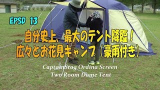 EPSD13【ファミリーキャンプ】自分史上最大のテントでお花見キャンプ（豪雨付き）。キャプテンスタッグ・オルディナスクリーン・２ルームドームテント