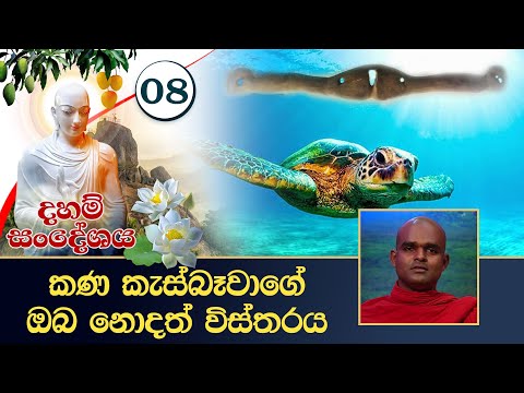 08) කණ කැස්බෑවාගේ ඔබ නොදත් විස්තරය | දහම් සංදේශය (2021-06-10)