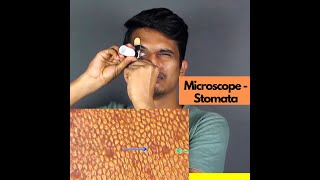 Microscope - Stomata | #Shorts #DIY #youtubshorts #short