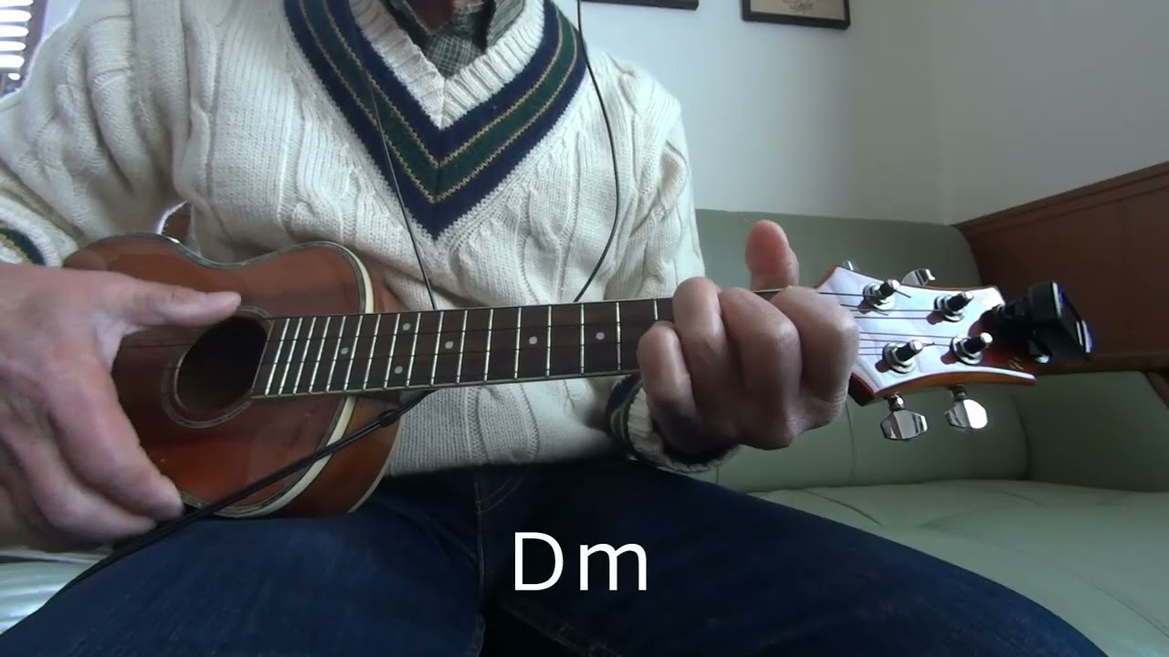 南国の夜　初めてのウクレレ