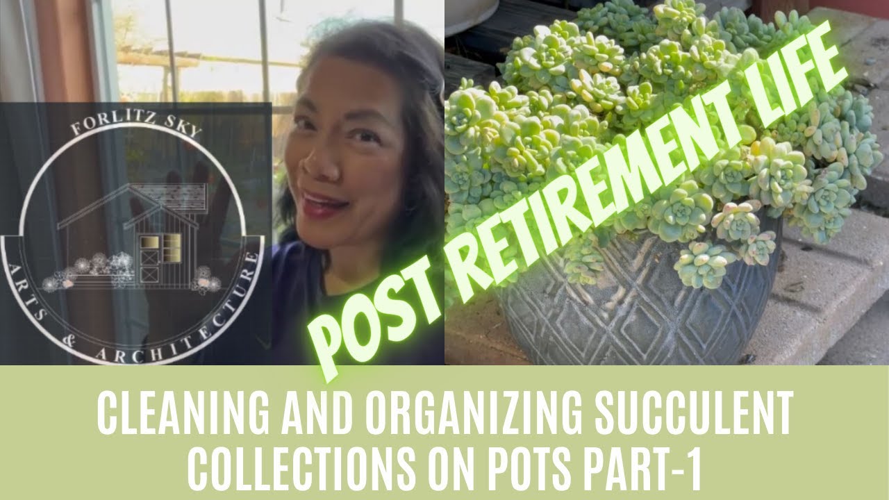 Post Retirement Life, Cleaning and Organizing Succulent Collections