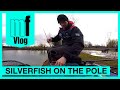 Rob wootton  joe carass  silverfish on the pole