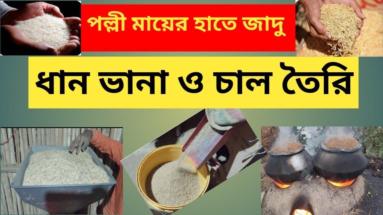 ধান ভানা ও চাল তৈরি 09