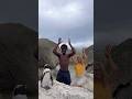 Penguin danced with us who noticed isabellaafro africa travel couple travel shorts