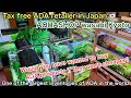 【ADA Duty Free Shop】AQUASHOP wasabi in Kyoto Japan Nature Aquarium,aquascaping,aquascape,IAPLC,dooa