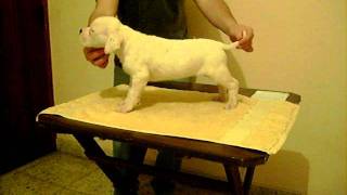 Iluminada De Furia Pampeana