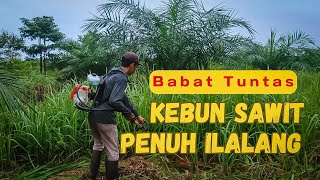 Babat Ilalang Itu Jangan Dikira Enteng