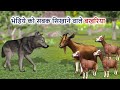 Bhedhiye Ko Sabak Sikhane Walle Bakhriya Moral Story In Hindi @Trendingstories123