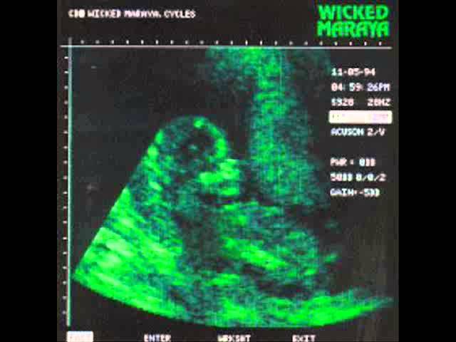 Wicked Maraya - Johnny